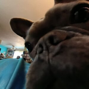 C Tomlinson